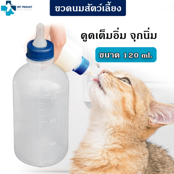 ขวดนมเปลือย ขนาด 120ml. (แพค 30ชิ้น)