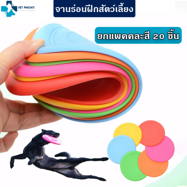 จานร่อนฝึกสุนัข (แพค 20ชิ้น)