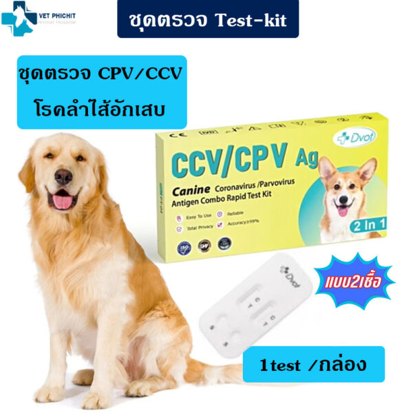 Test kit CPV/CCV ลำไส้อักเสบสุนัข