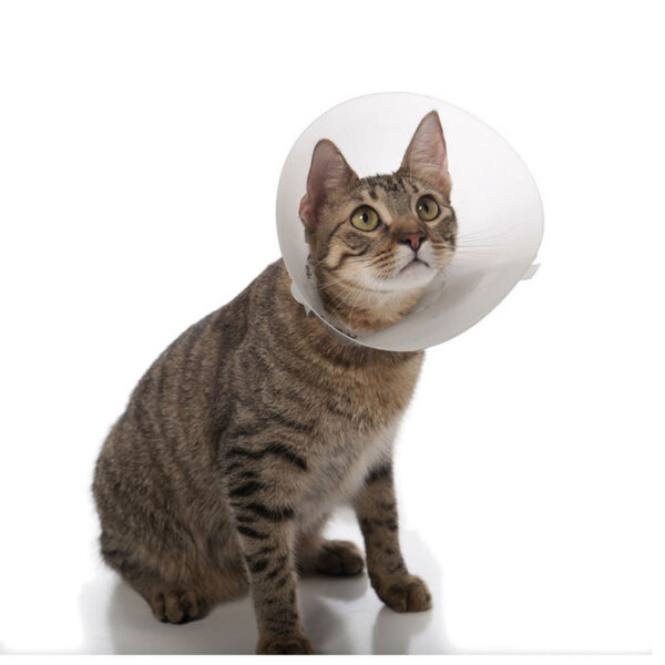 Pet collarคอลล่ากันเลียสัตว์เลี้ยง แบบใสOriginal - Image 5