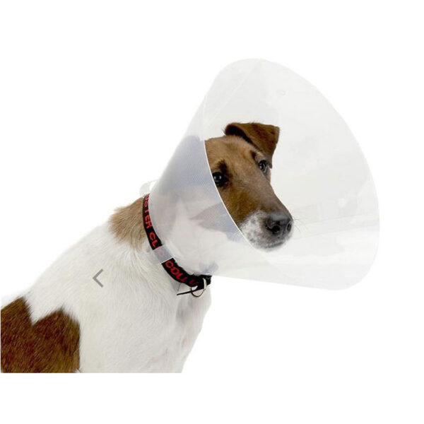 Pet collarคอลล่ากันเลียสัตว์เลี้ยง แบบใสOriginal - Image 6