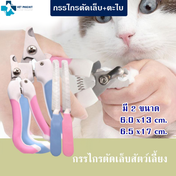 กรรไกรตัดเล็บแพคเกจพร้อมตะไบ (แพค 20ชิ้น)