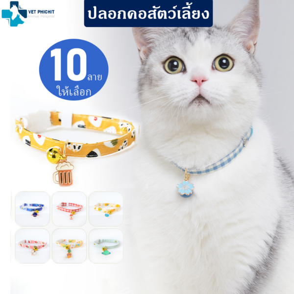 ปลอกคอแฟนซี (แพค 20ชิ้น)