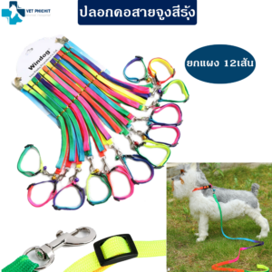 ปลอกคอ สายจูงสีรุ้ง (แผง 12ชิ้น)