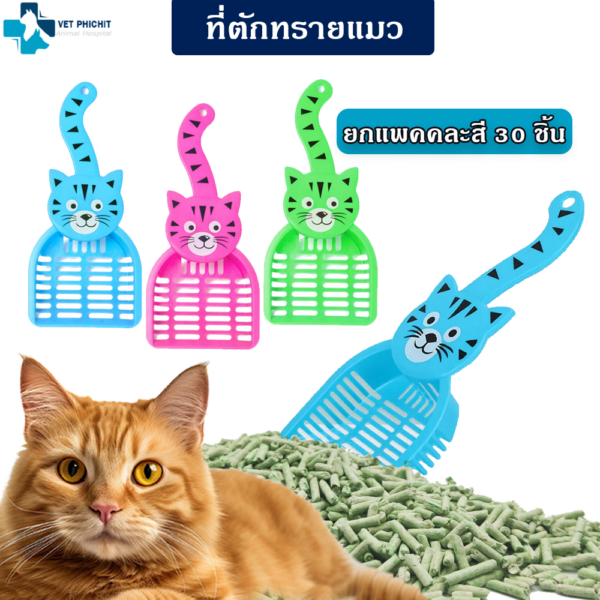 ที่ตักทรายแมว รูปหน้าแมวสีสดใส (แพค 30ชิ้น)