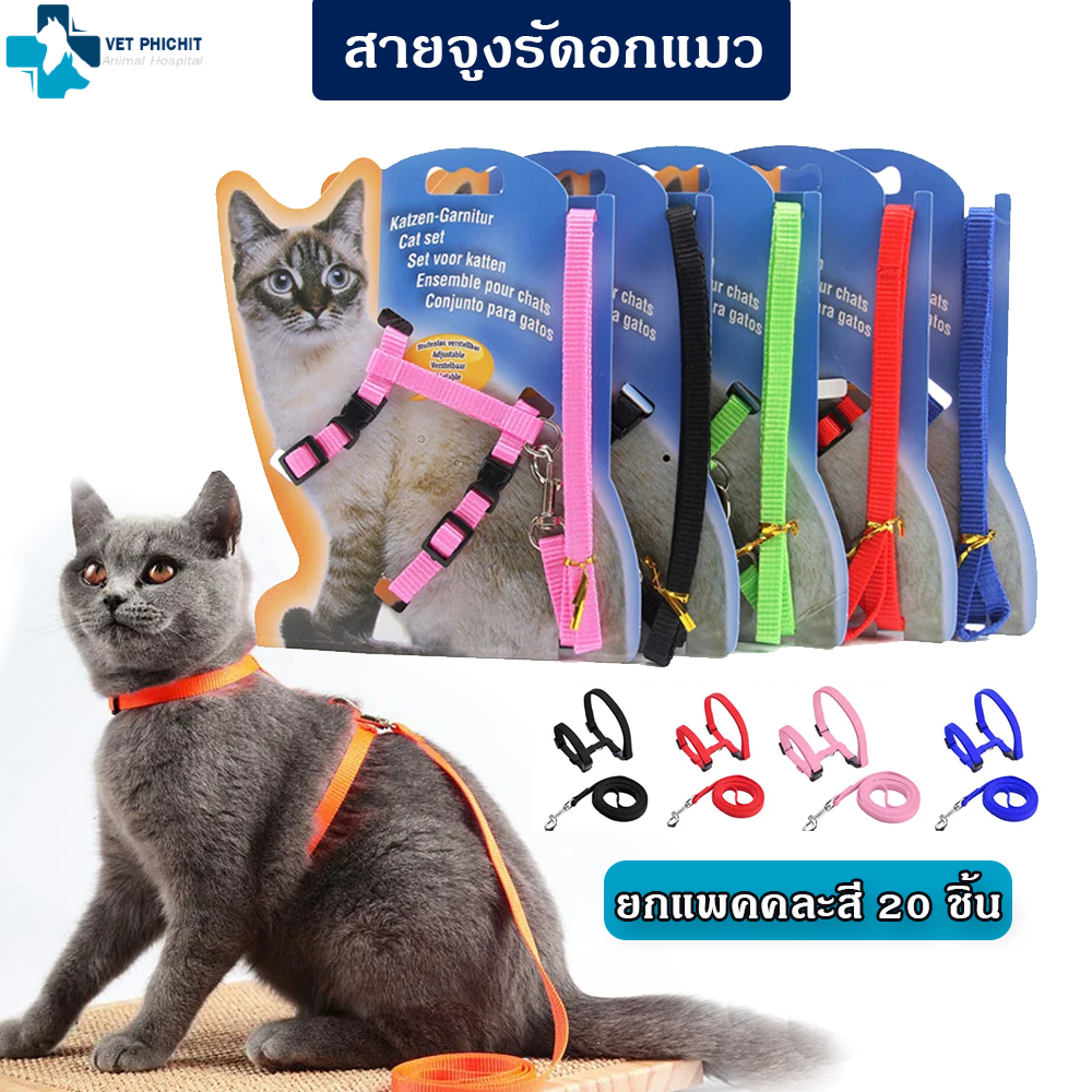สายจูงรัดอกแมว (แพค 20ชิ้น)